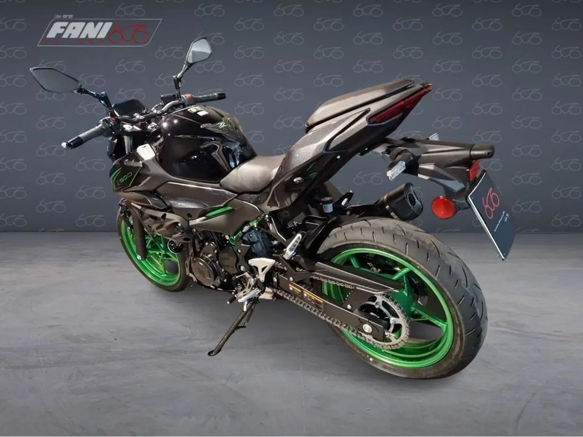 Kawasaki Z 500 SE (2024 - 27) (4)