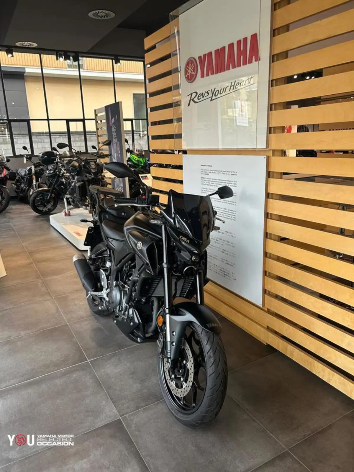 Yamaha MT-03 (2025 - 26) (3)
