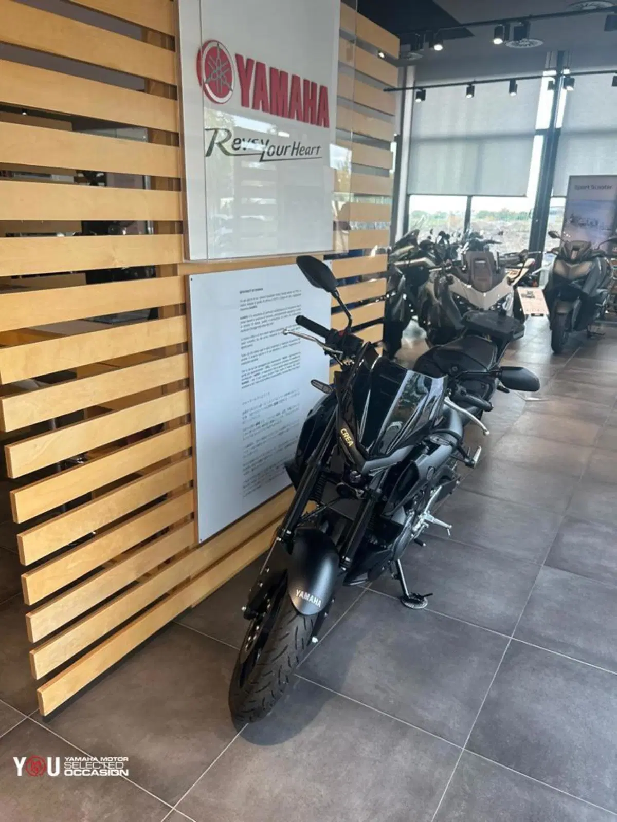 Yamaha MT-03 (2025 - 26) (9)