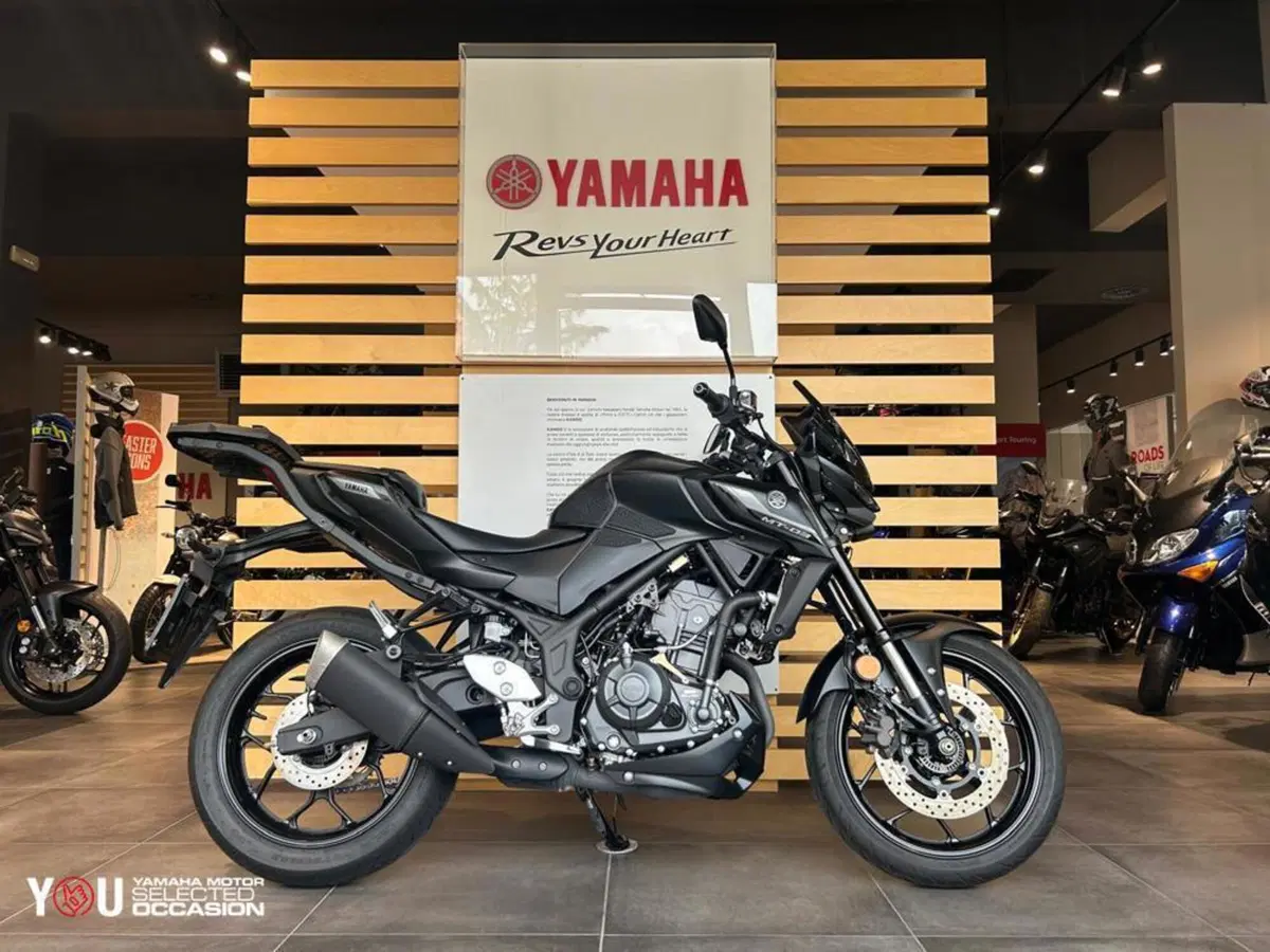 Yamaha MT-03 (2025 - 26) (10)