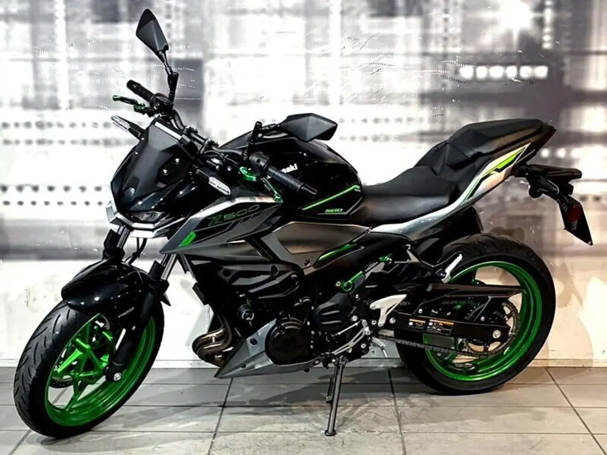 Kawasaki Z 500 SE (2024 - 27) (2)