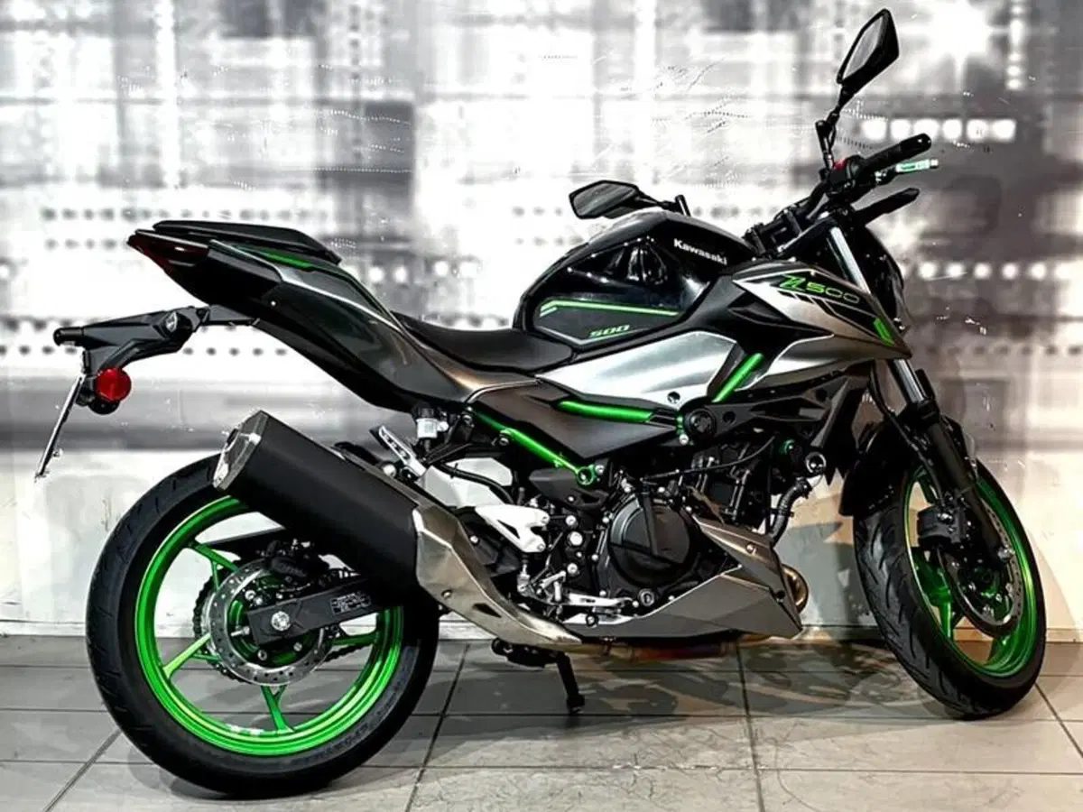 Kawasaki Z 500 SE (2024 - 27) (3)
