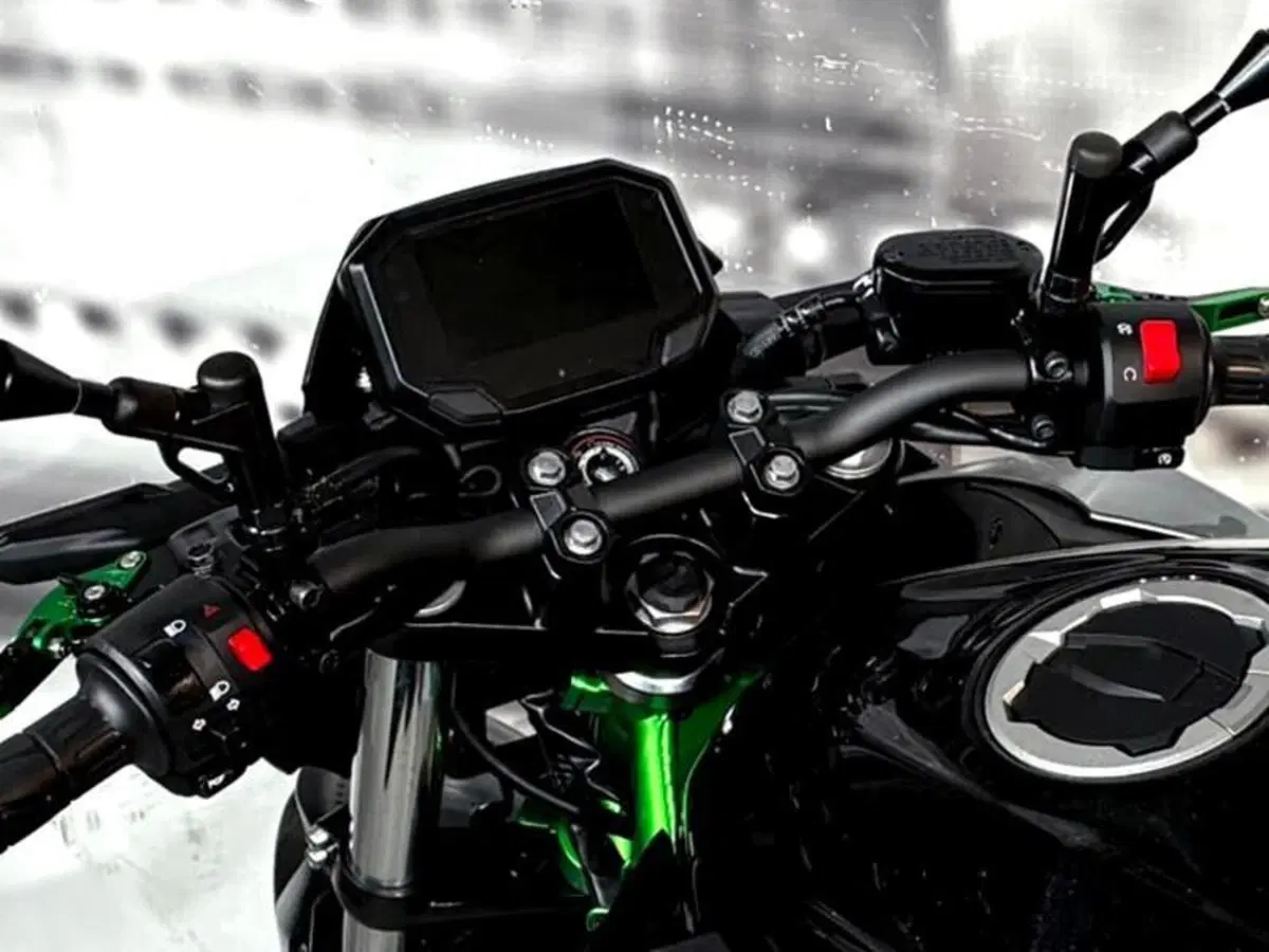 Kawasaki Z 500 SE (2024 - 27) (4)