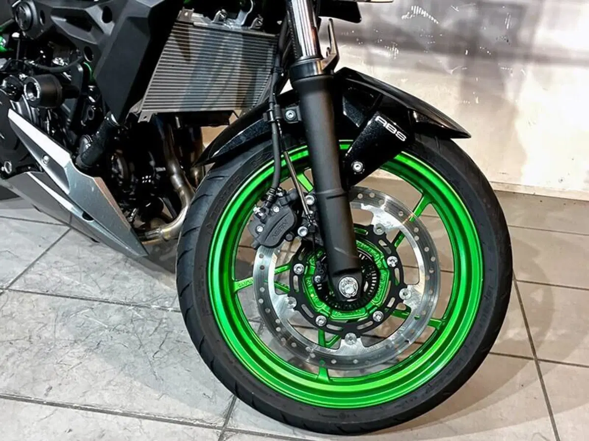 Kawasaki Z 500 SE (2024 - 27) (5)