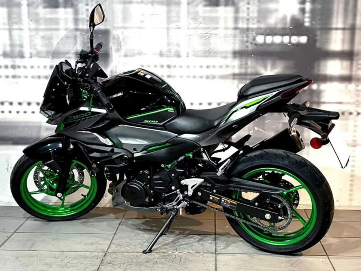 Kawasaki Z 500 SE (2024 - 27) (7)