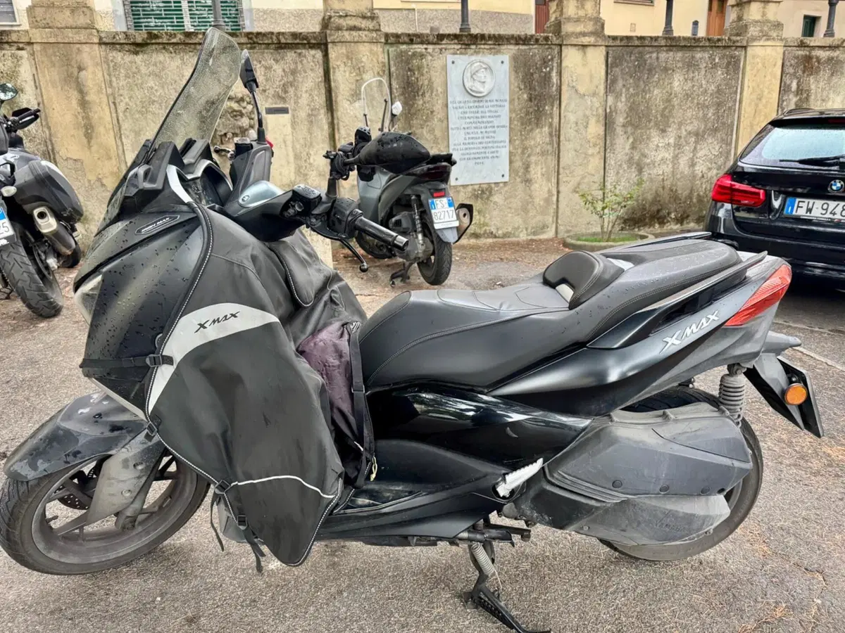 Yamaha X-Max 300 Iron Max (2019 - 20) (3)