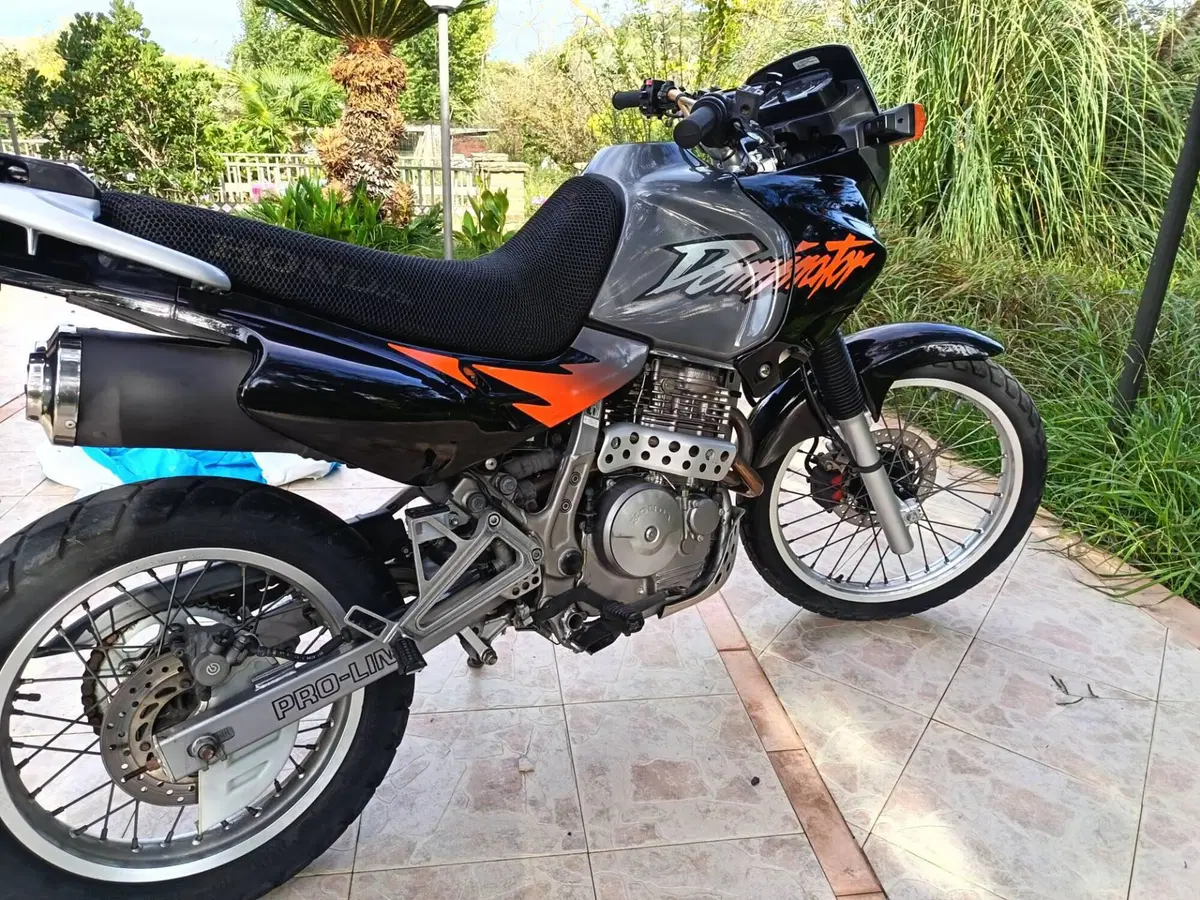 Honda Dominator (2)