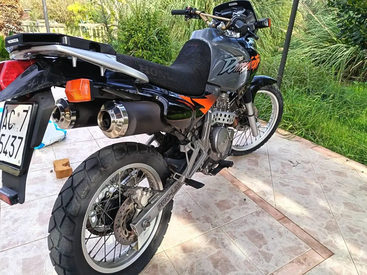 Honda Dominator (3)