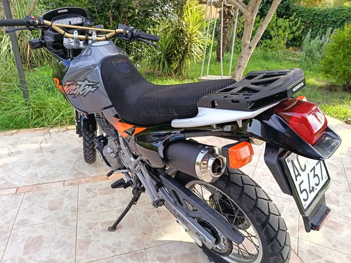 Honda Dominator (4)