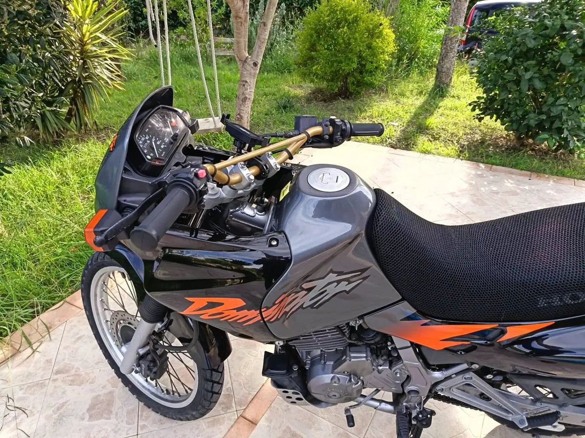 Honda Dominator (5)
