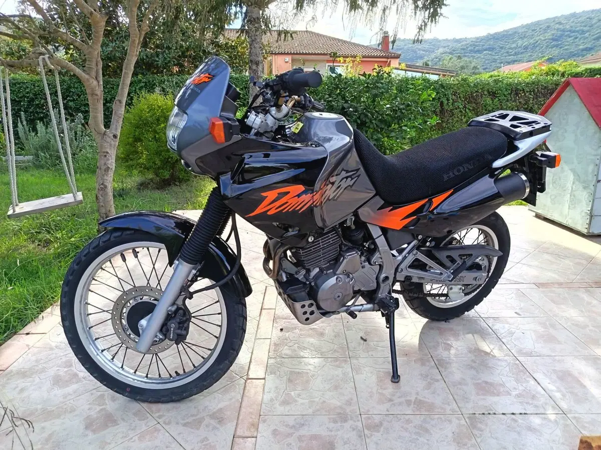 Honda Dominator (6)