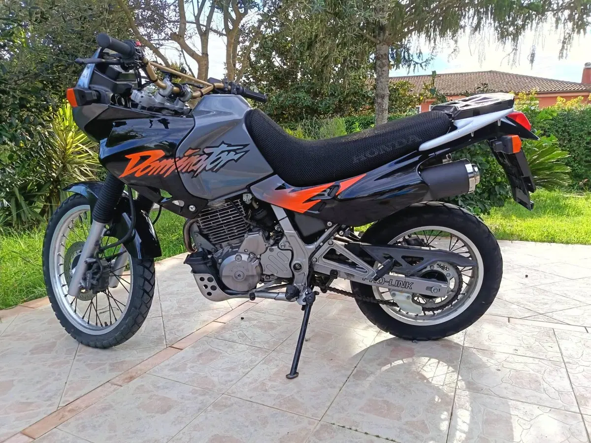 Honda Dominator (7)