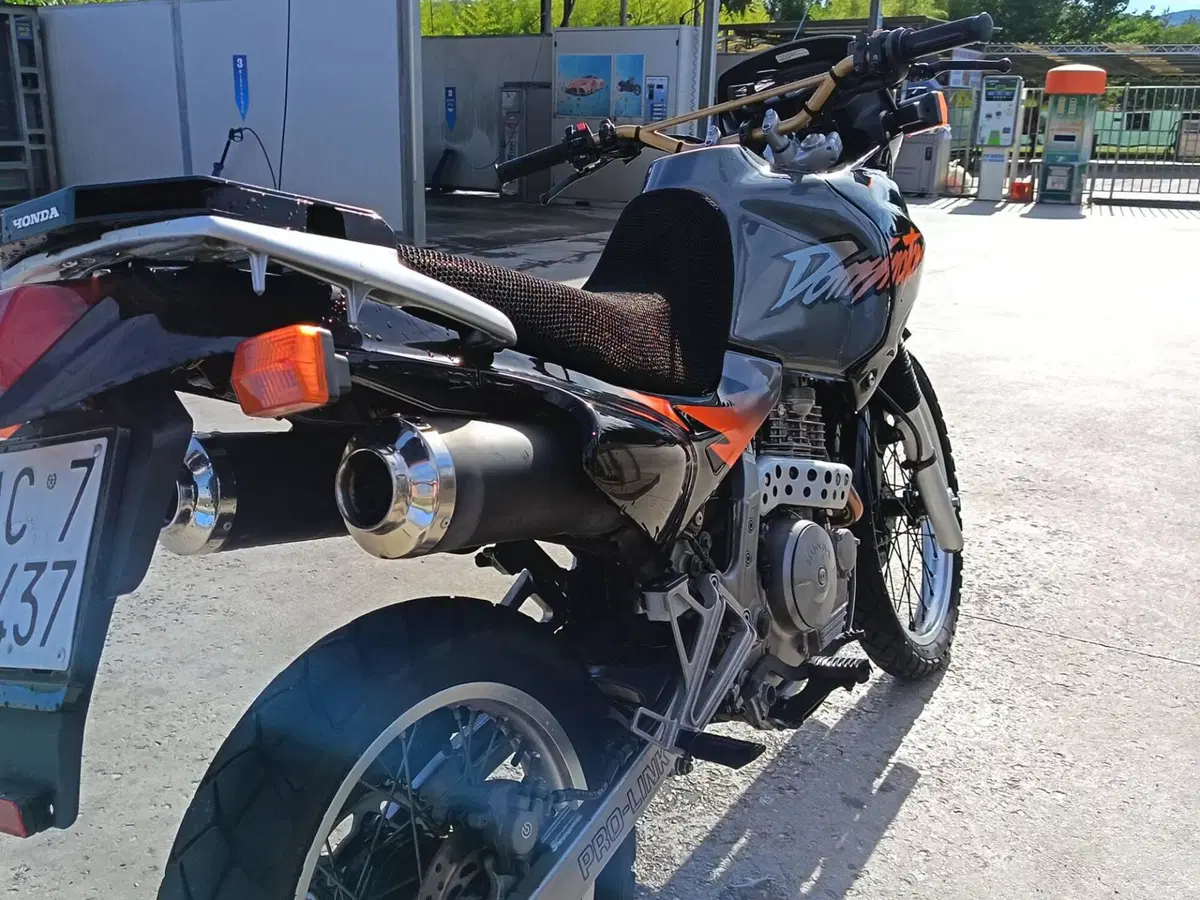 Honda Dominator (8)