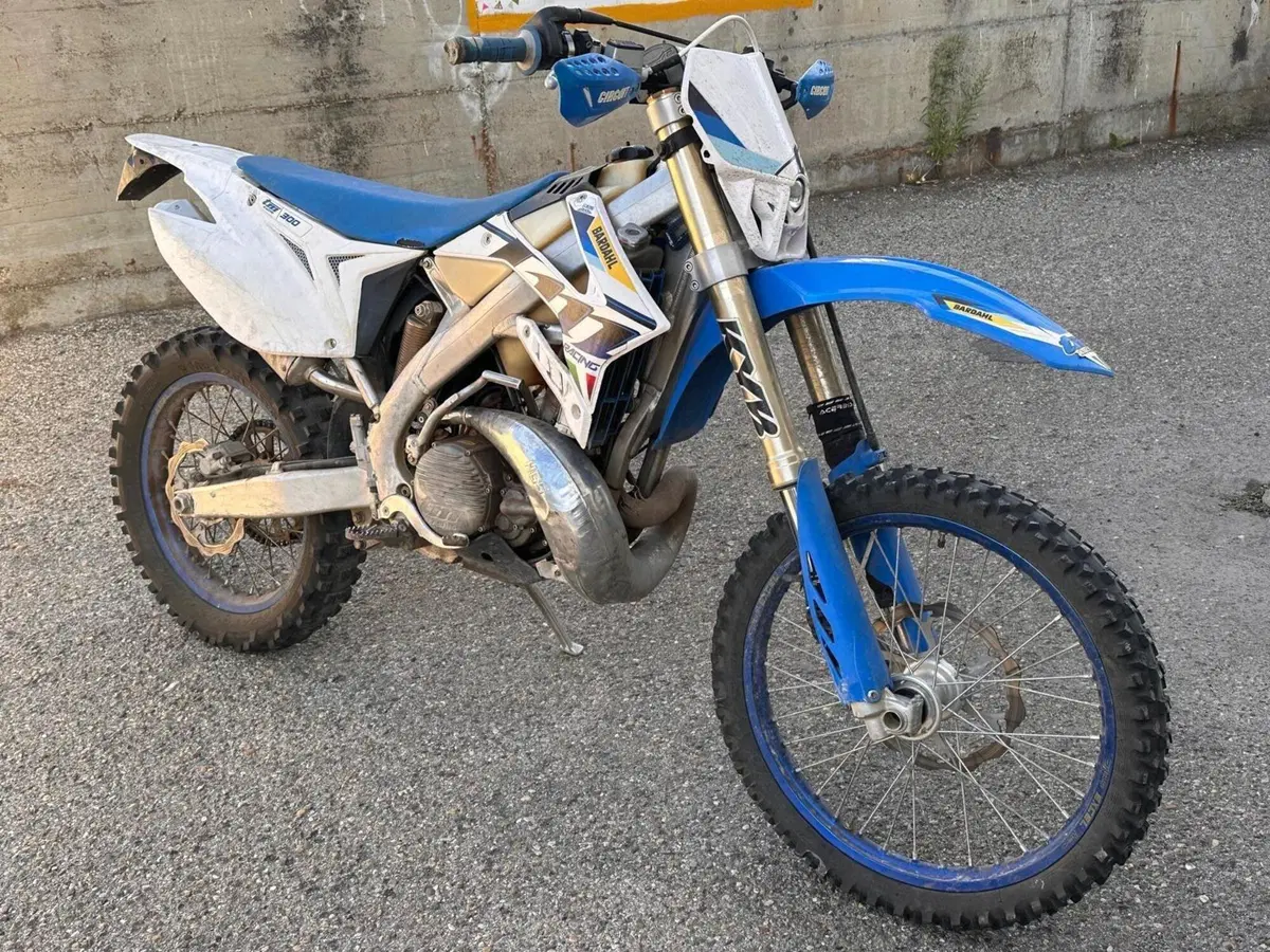 Tm Moto EN 300 ES (2021) (2)