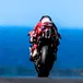 Non sono (metà) pagelle di Phillip Island: Marc Marquez 5 e lode, ma alla sua Q2 10 e lode!