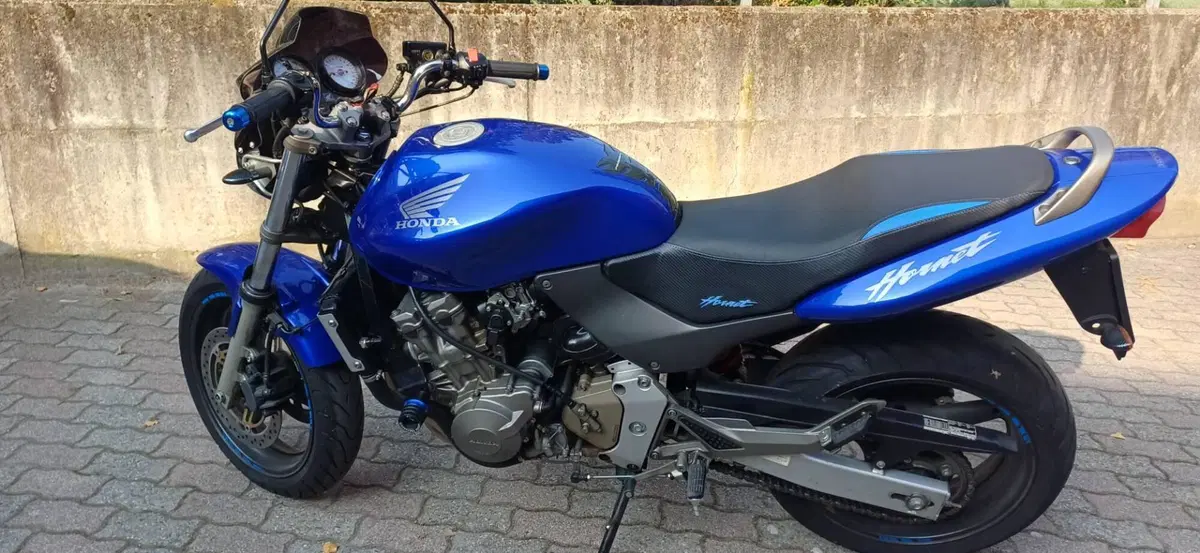 Honda Hornet 600 (2000 - 02) (2)