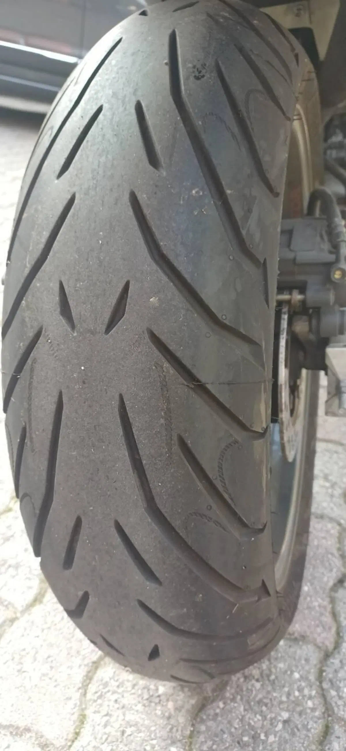 Honda Hornet 600 (2000 - 02) (5)