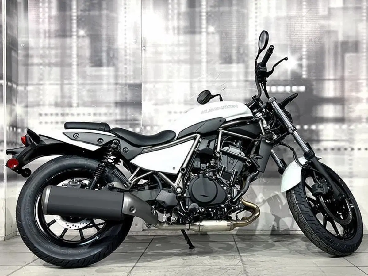 Kawasaki Eliminator 500 (2024 - 27) (8)