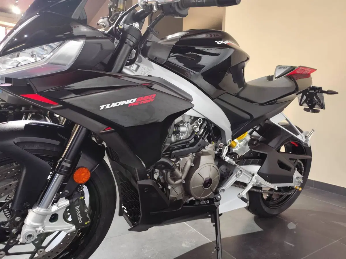Aprilia Tuono 660 Factory (2022 - 24) (5)