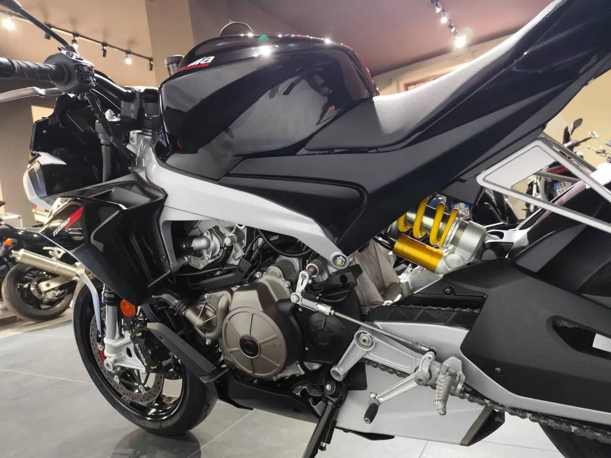 Aprilia Tuono 660 Factory (2022 - 24) (6)