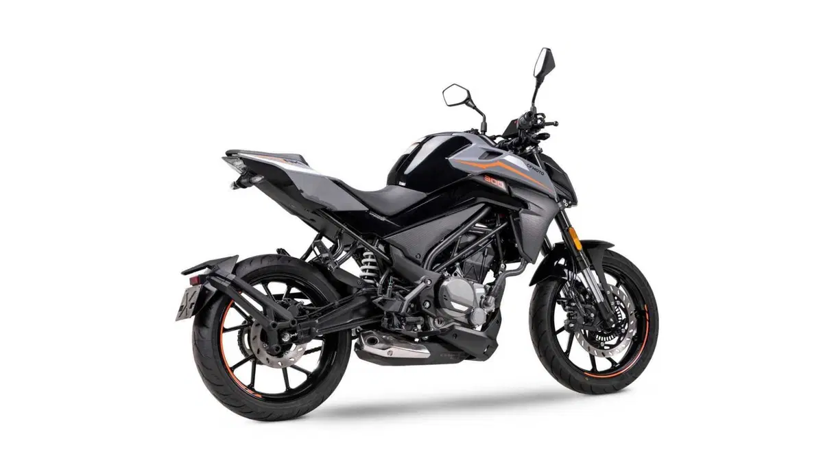 CFMOTO 300NK 300NK (2025 - 26) (5)