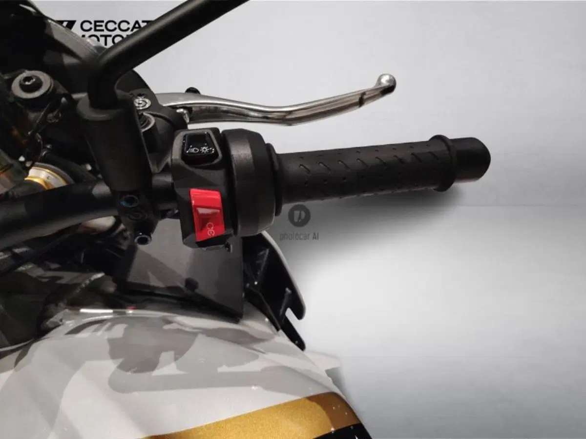 Aprilia Tuono V4 Factory (2021 - 24) (11)