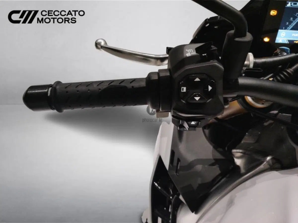 Aprilia Tuono V4 Factory (2021 - 24) (12)