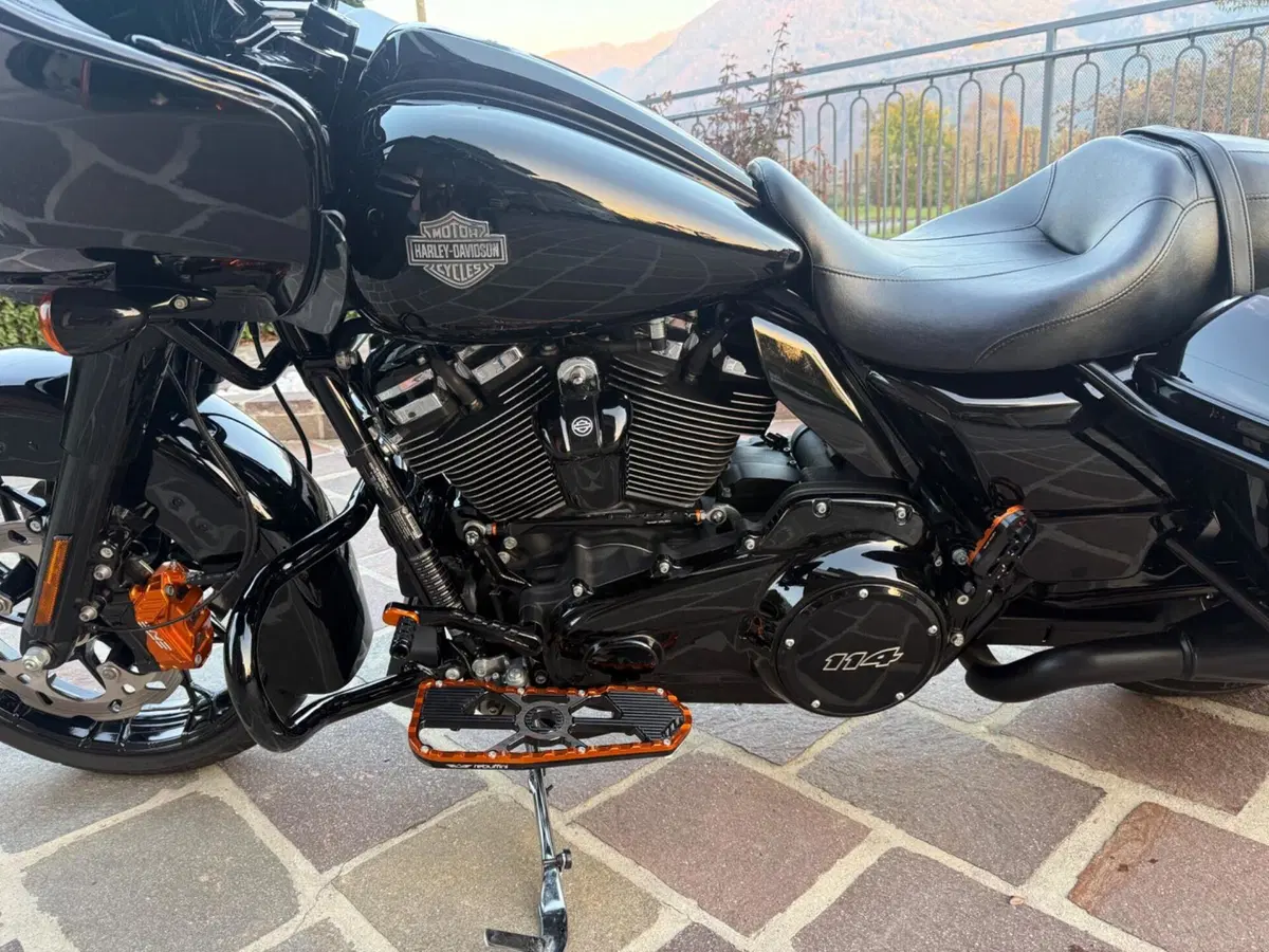 Harley-Davidson Road Glide Special (2021 - 23) (7)