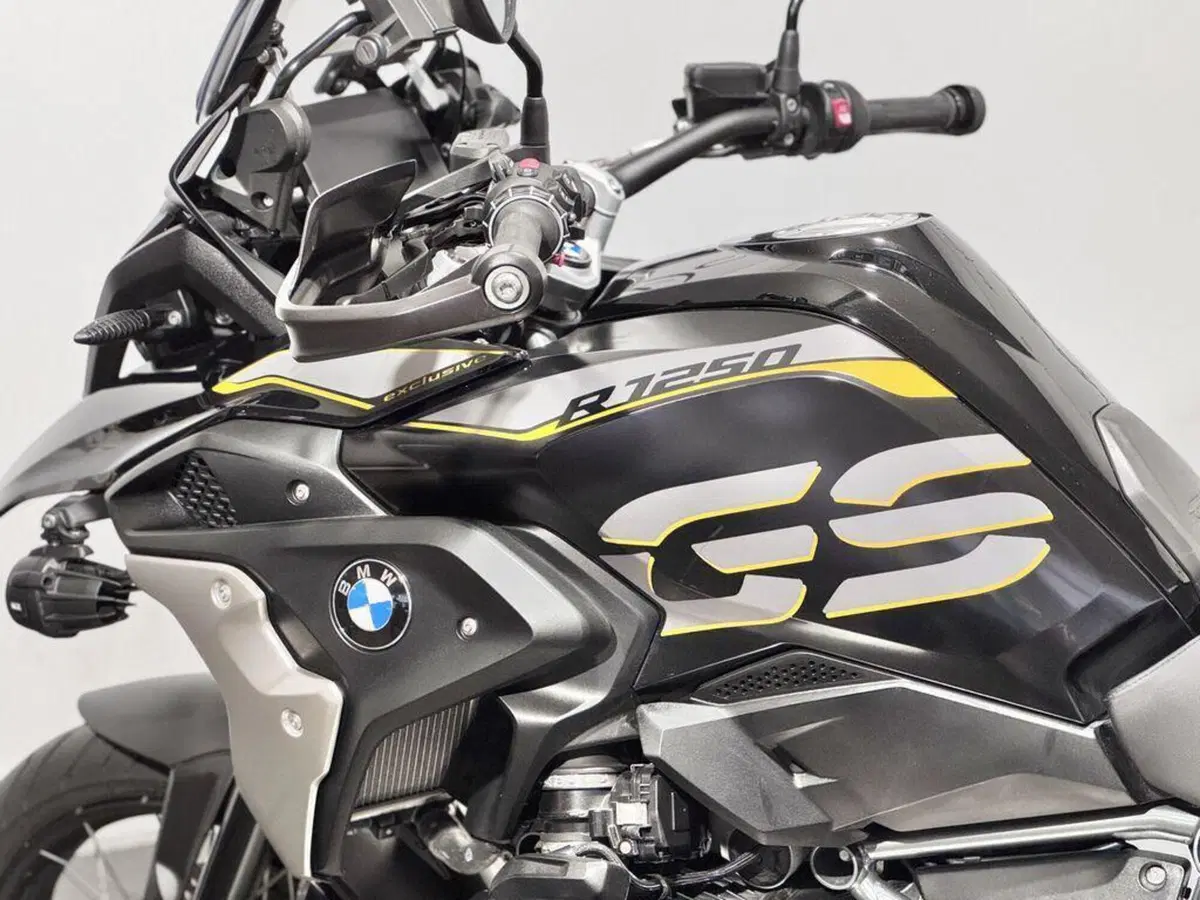 Bmw R 1250 GS (2019 - 20) (4)