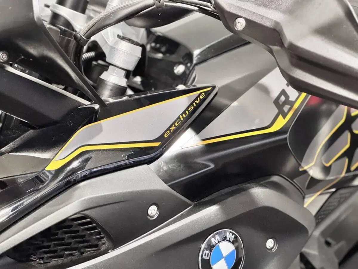 Bmw R 1250 GS (2019 - 20) (6)