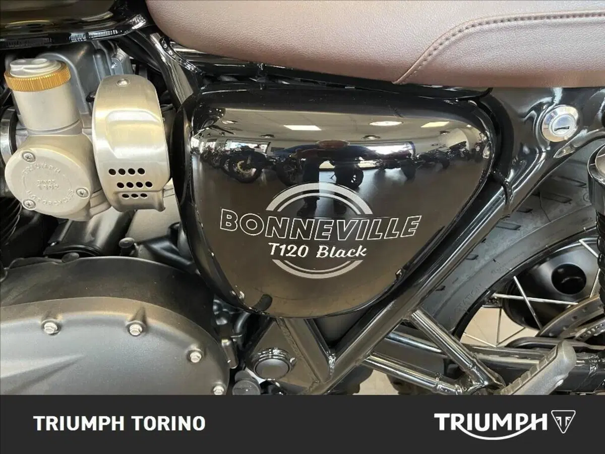 Triumph Bonneville T120 Black (2026) (7)