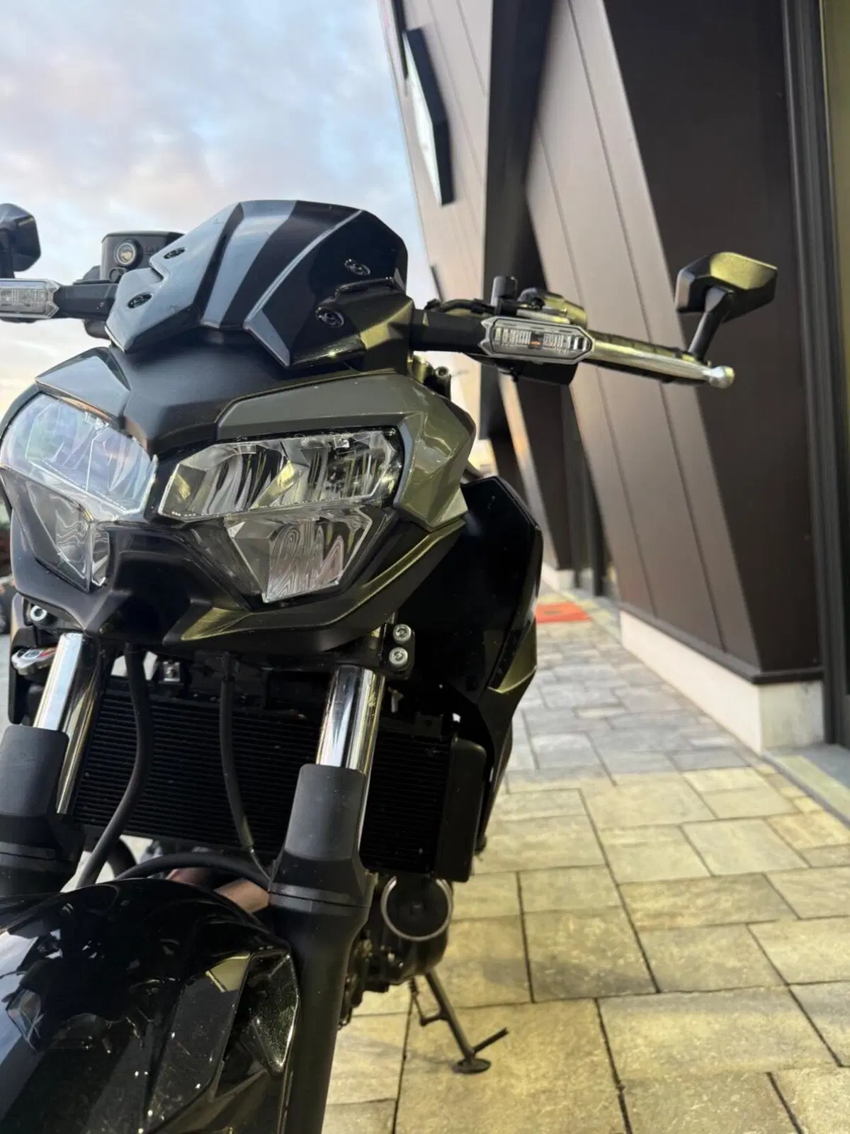 Kawasaki Z 650 (2025 - 27) (8)