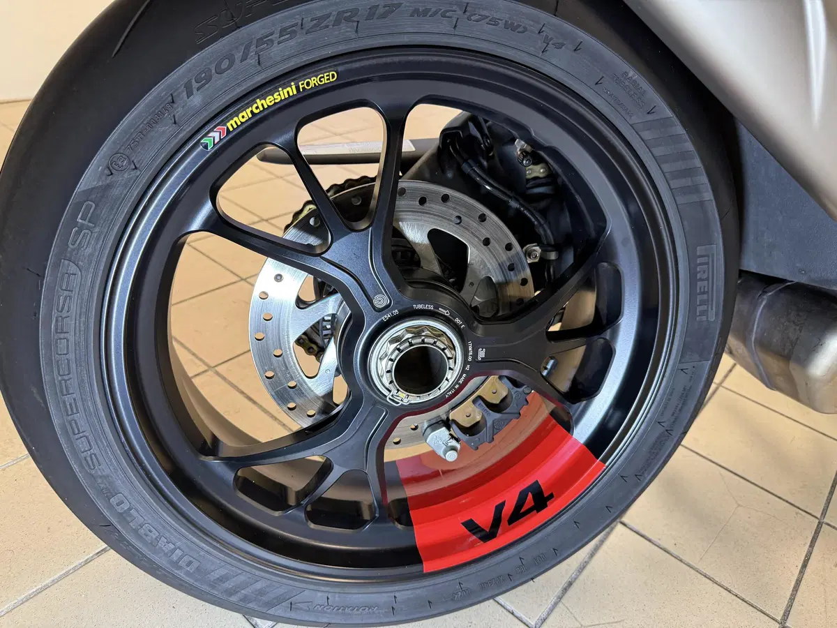 Ducati Multistrada V4 Pikes Peak (2021 - 24) (4)