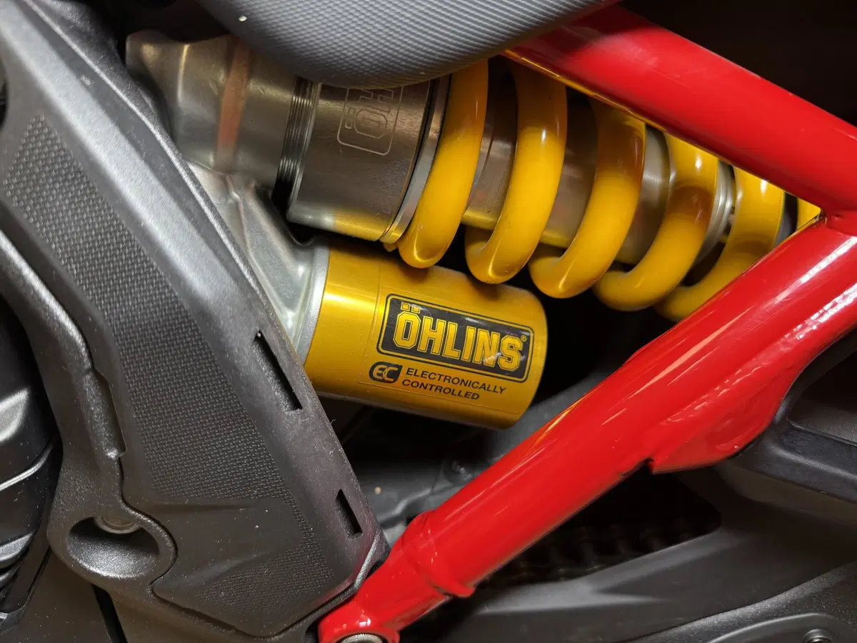 Ducati Multistrada V4 Pikes Peak (2021 - 24) (12)
