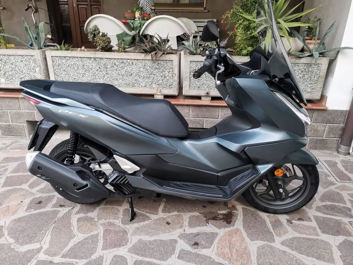 Honda PCX 125 (2025 - 26) (3)