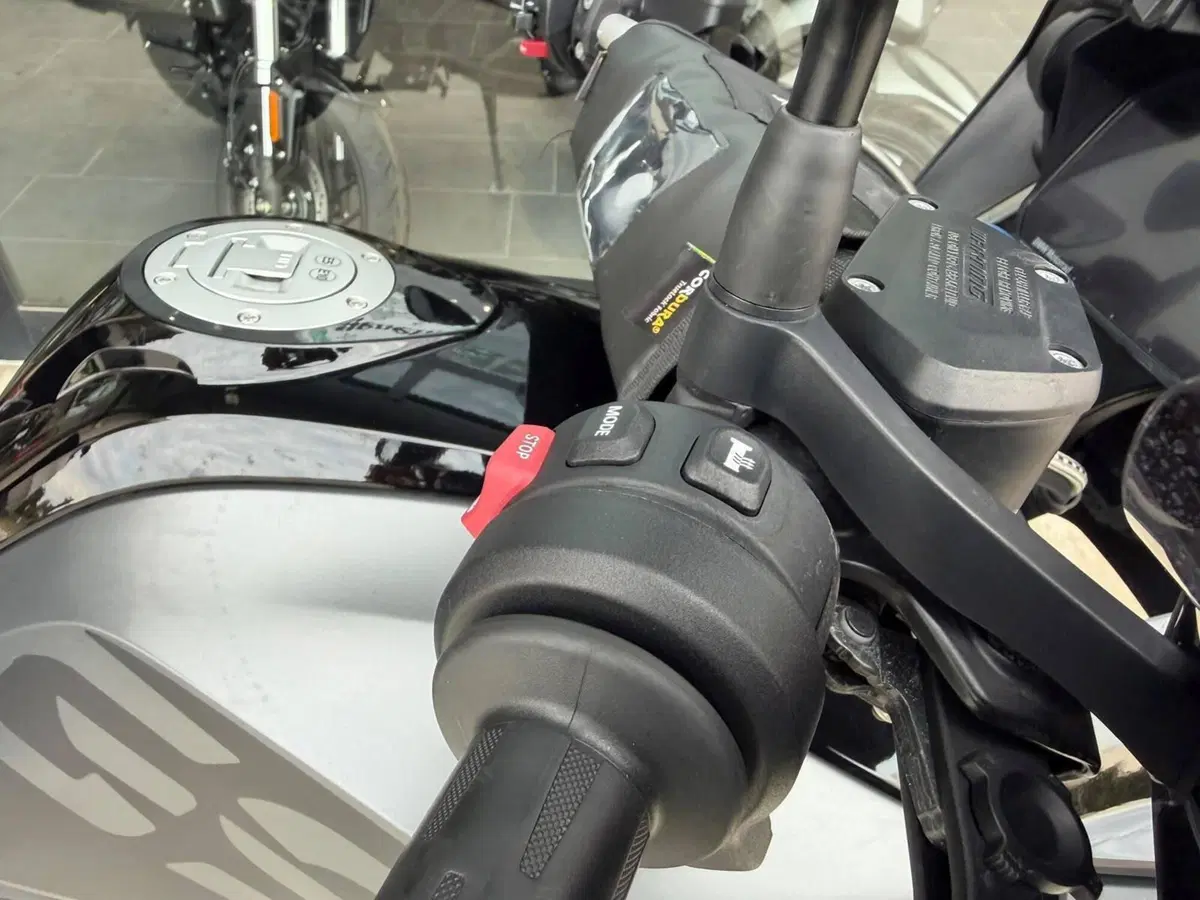 Bmw R 1250 GS (2019 - 20) (5)