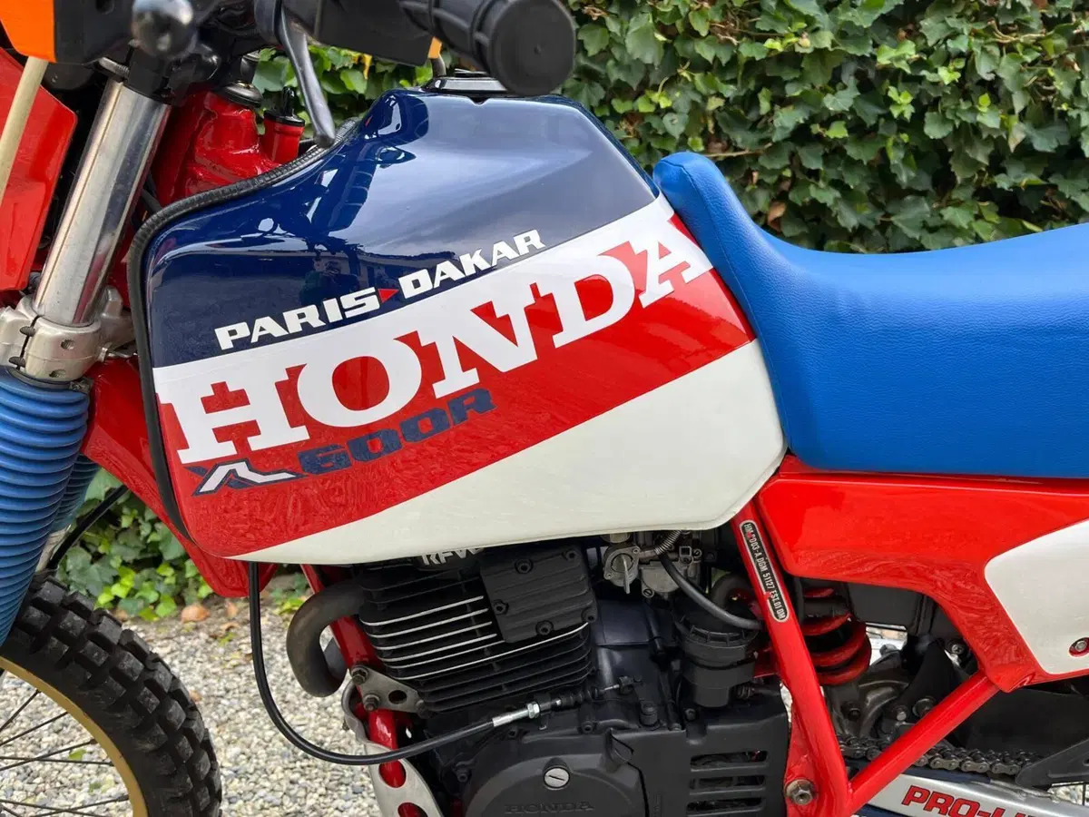 Honda XL600R Paris Dakar (5)