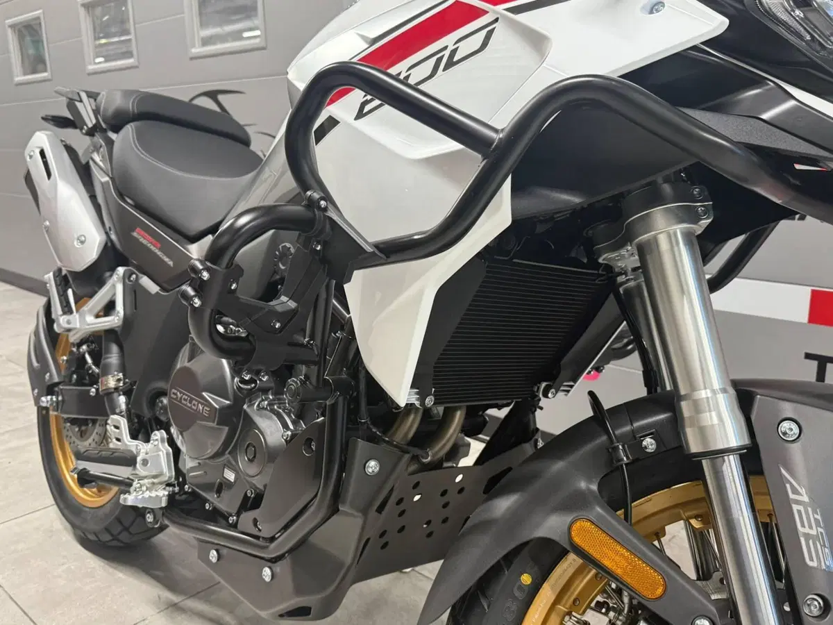 Cyclone RX600 (2025 - 26) (2)
