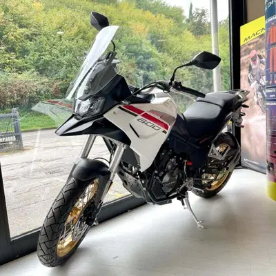 Cyclone RX600 (2025 - 26) nuova