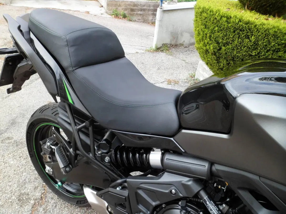 Kawasaki Versys 650 (2025 - 27) (9)