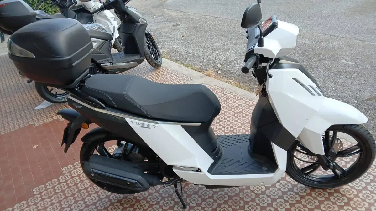 Peugeot Tweet 50 FL Active (2025 - 26) (2)