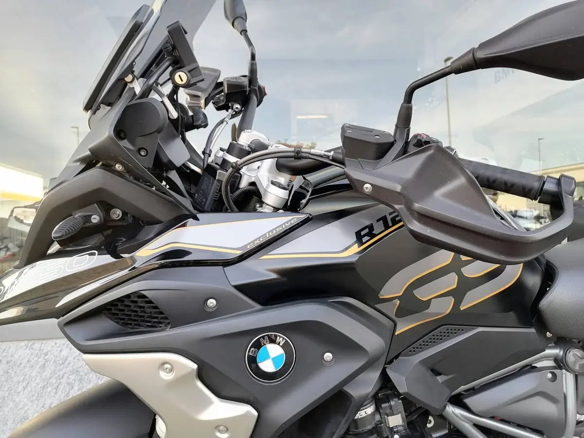 Bmw R 1250 GS (2019 - 20) (7)