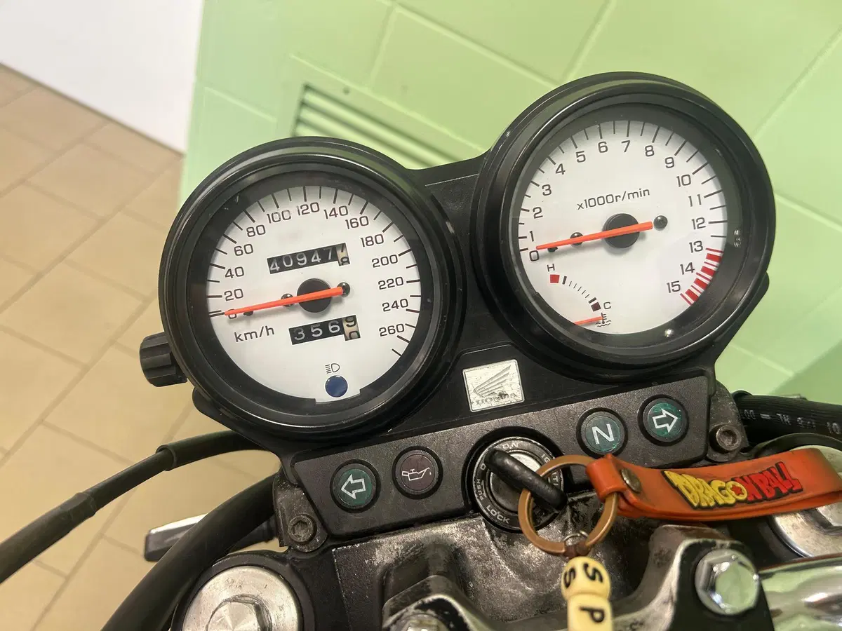 Honda Hornet 600 (2000 - 02) (5)