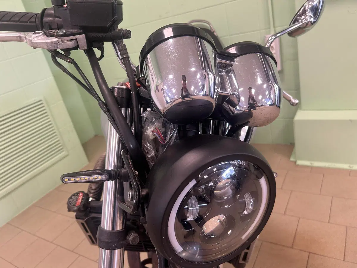 Honda Hornet 600 (2000 - 02) (18)