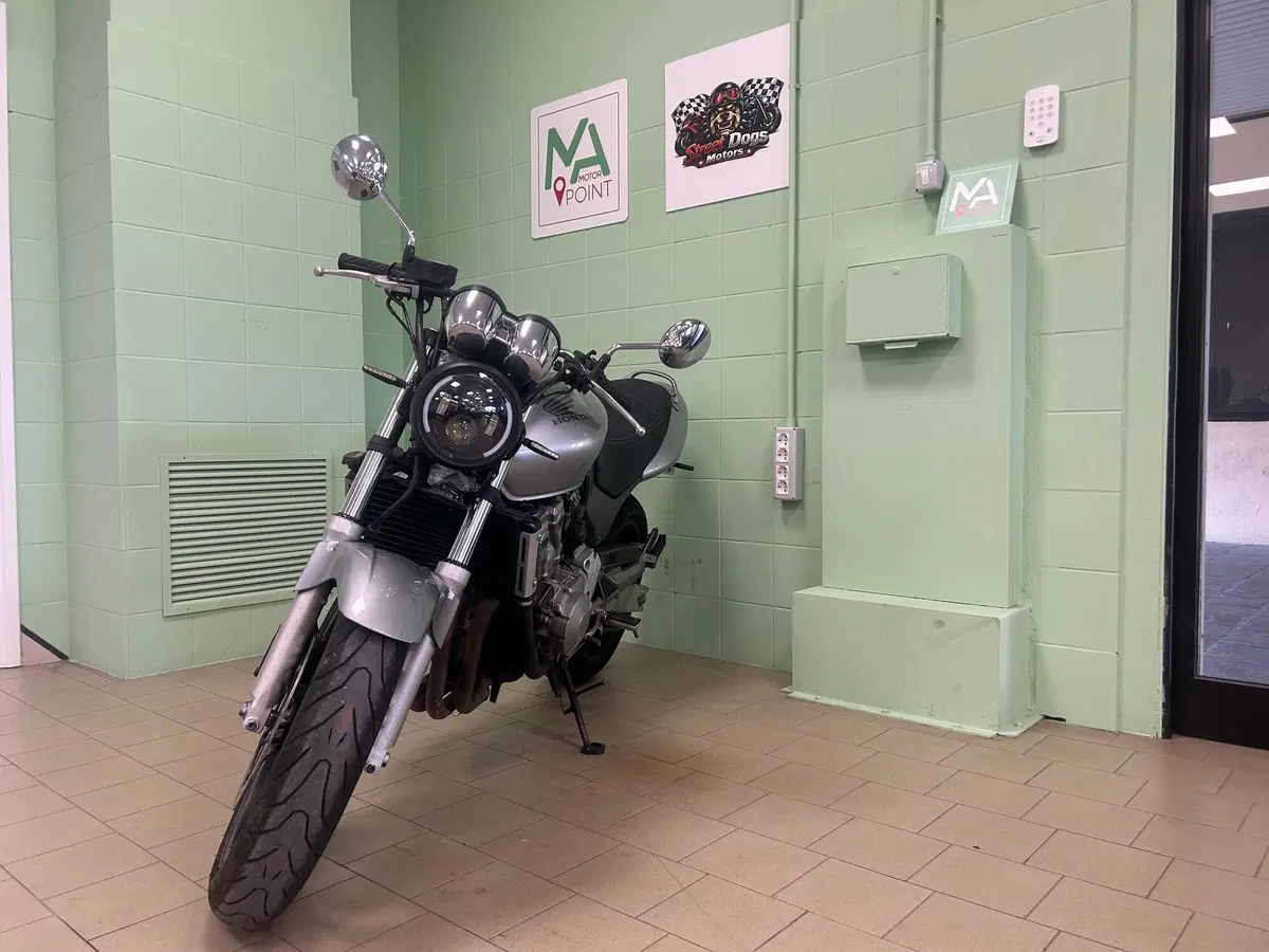 Honda Hornet 600 (2000 - 02) (20)