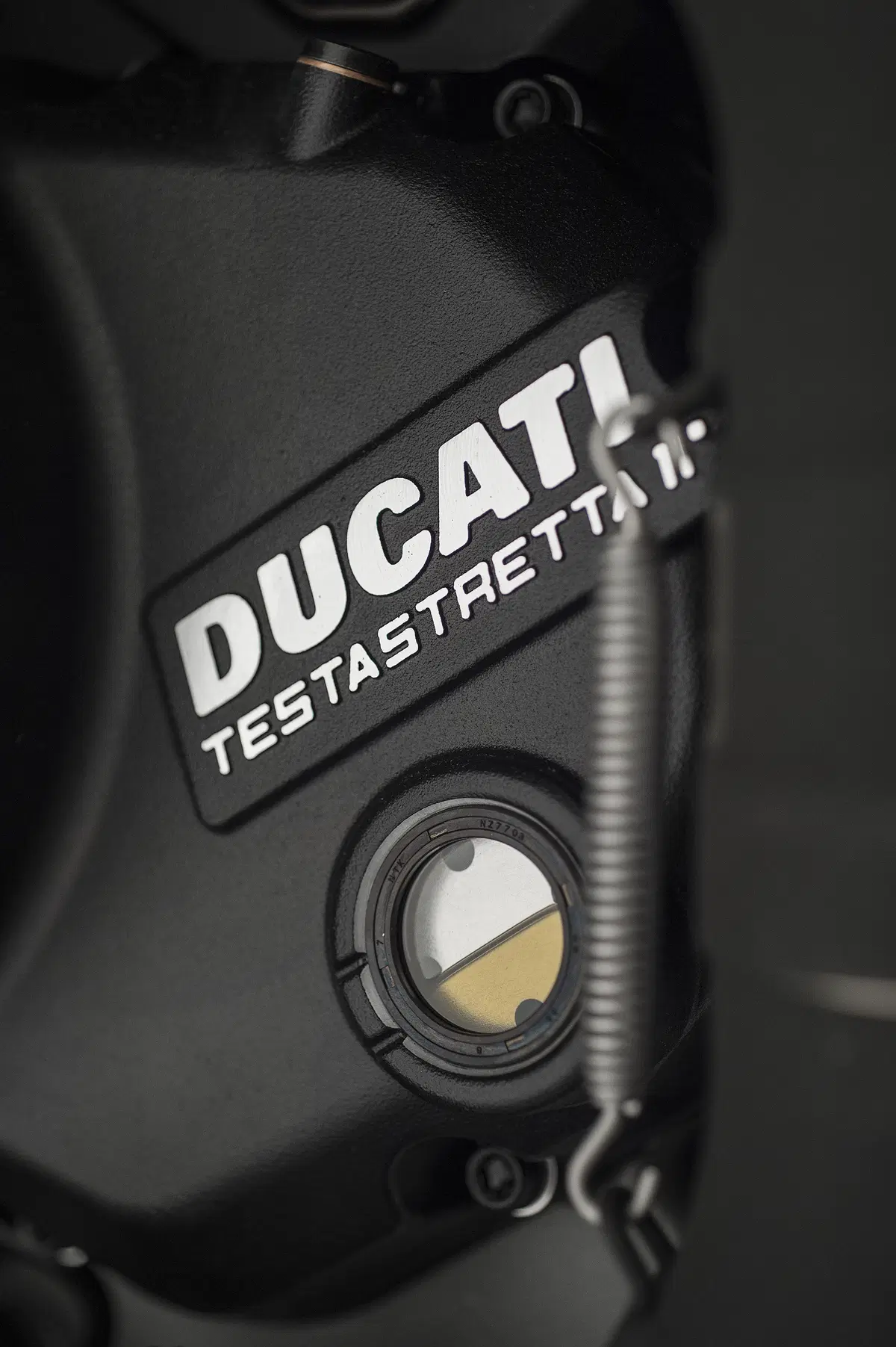 Diavel Titanium, un’edizione speciale per palati fini (28)