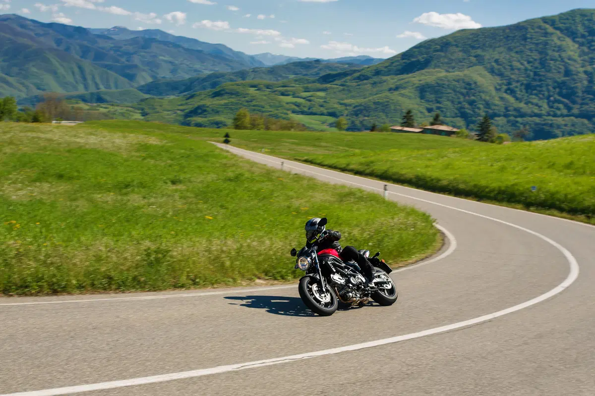Suzuki SV 650 (3)