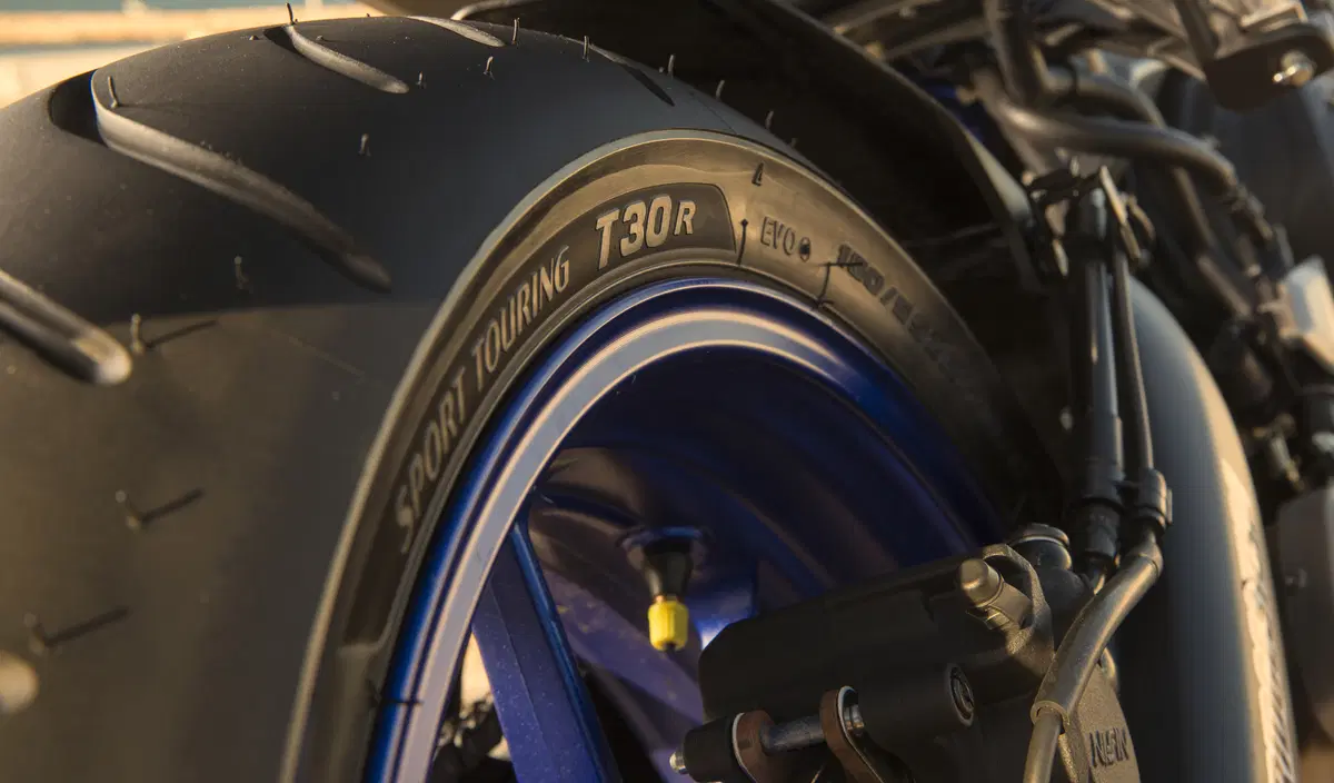 Bridgestone T30 Evo (13)