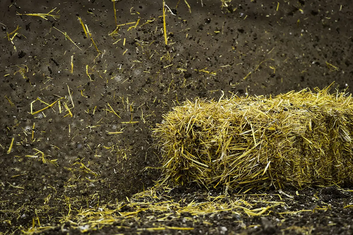 MXGP 2015. Le foto più belle del GP del Regno Unito (31)