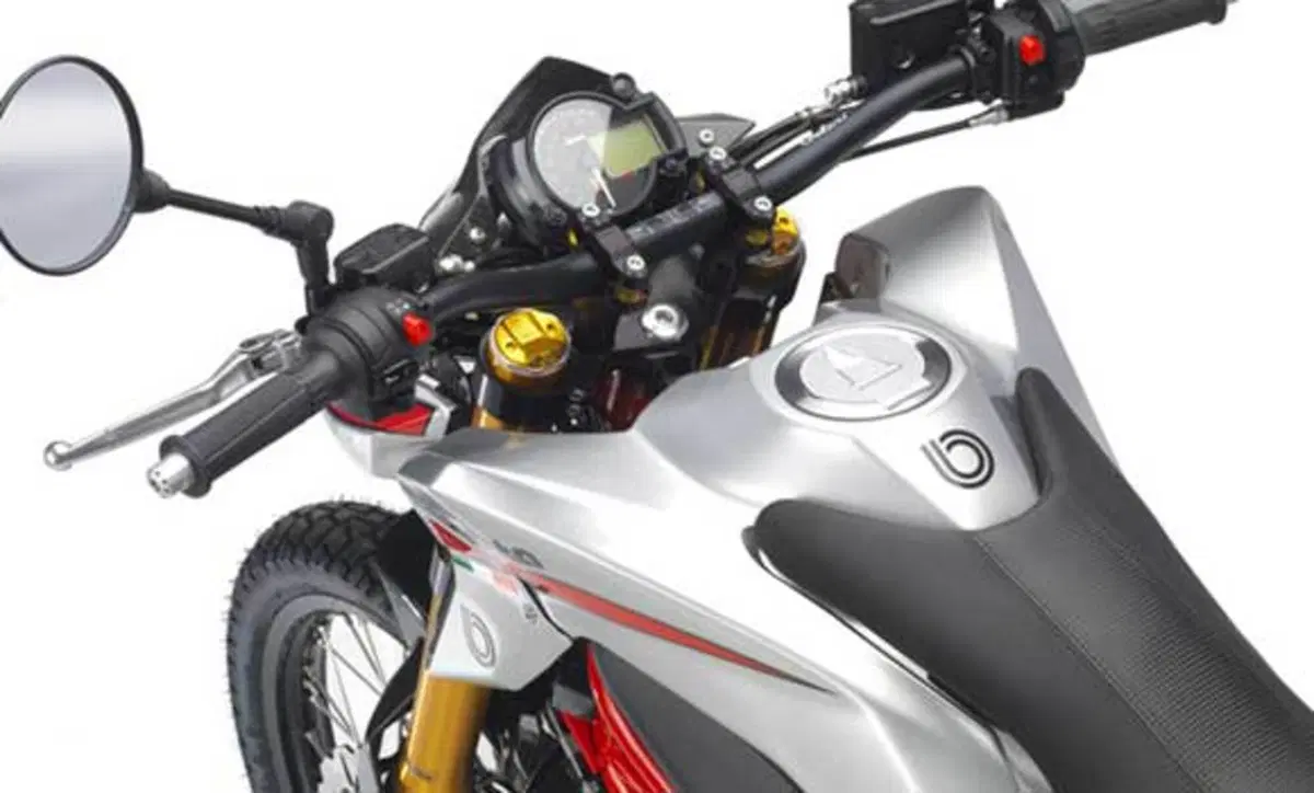 Bimota DBx DBx (2011 - 17) (4)